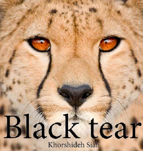 به نام Black Tear از خورشید سیاه